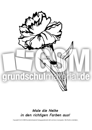 Frühlingsblüher-Ausmalbilder 18.pdf